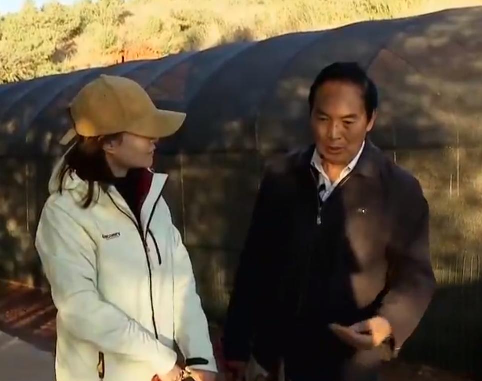 云南教师考察时发现商机，大山里挖“土疙瘩”，一公斤能卖5000元