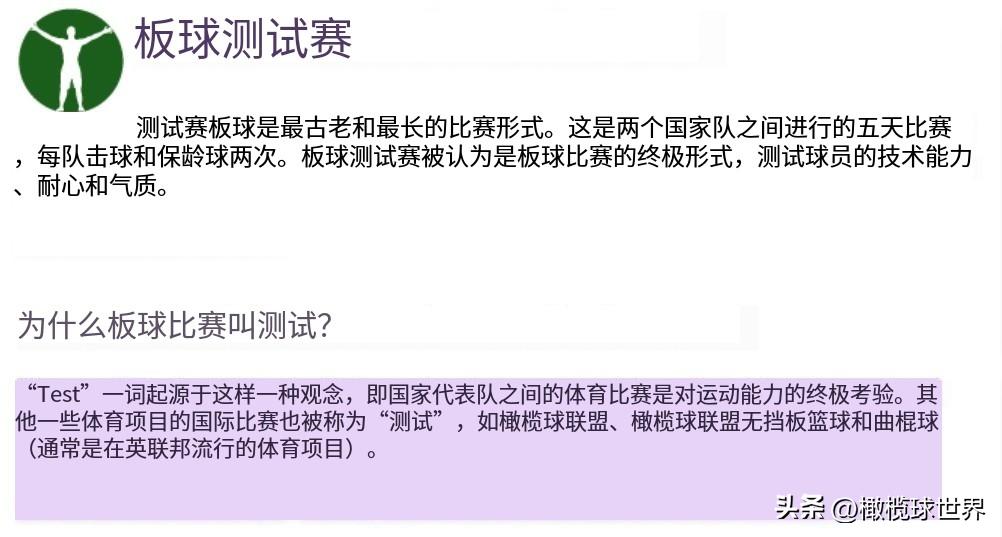 世界杯开赛前和开赛后评论,2023橄榄球世界杯