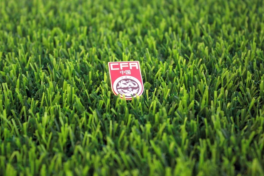 全球足球中国排名,中国欧洲足球留洋