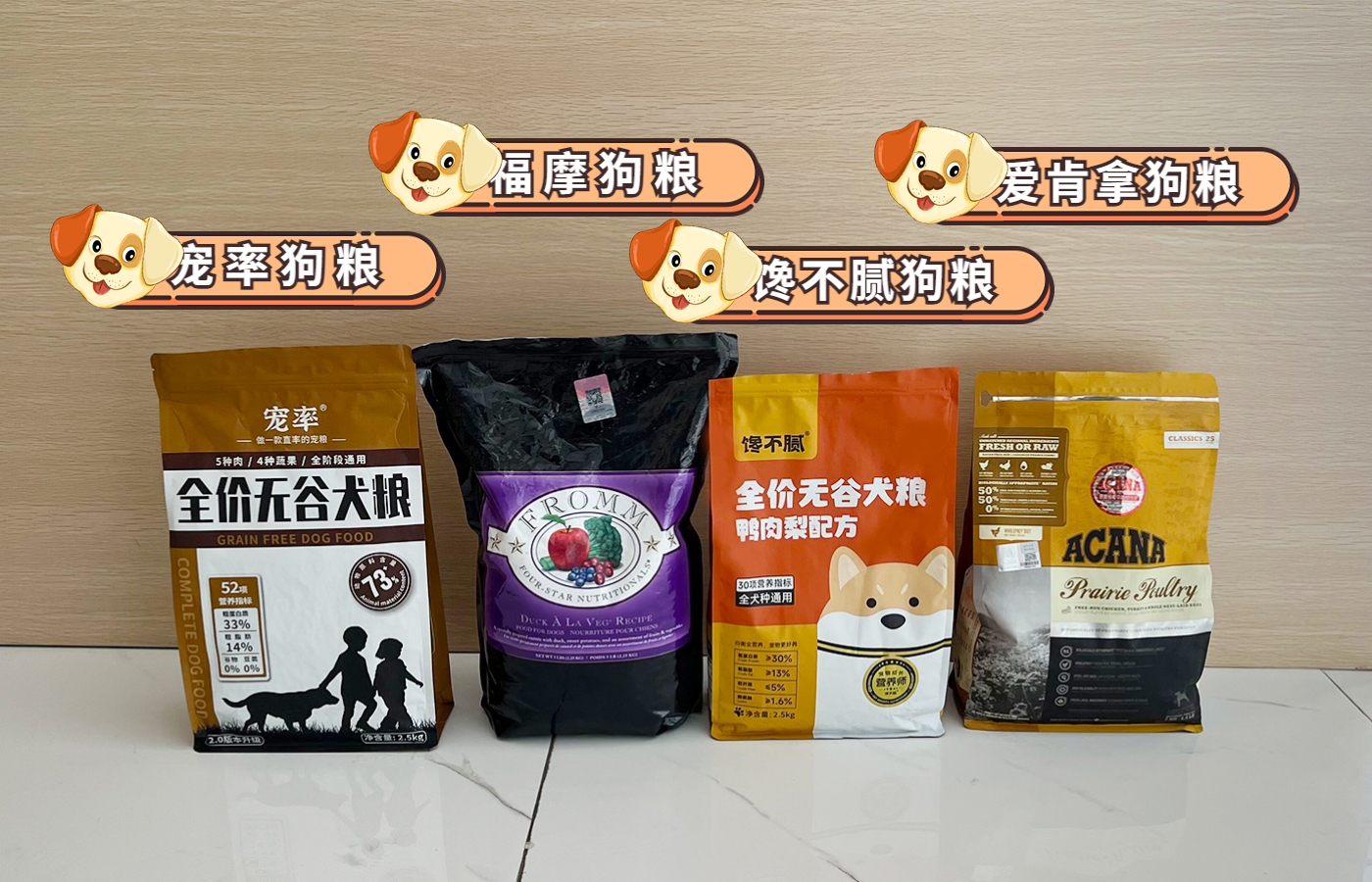 哪种狗不掉毛无体臭,公认最温顺的7种狗根本没脾气