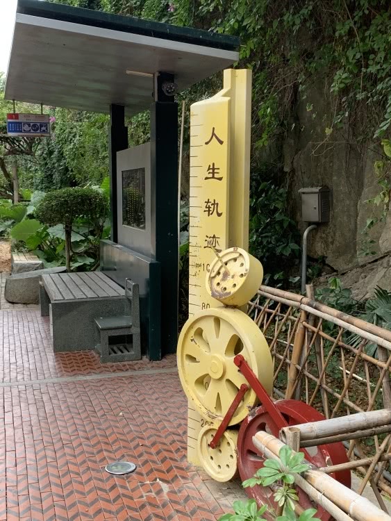 赏城中美景，品厦门味道。城市中心C位酒店，毗邻植物园、中山路