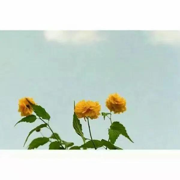 学生如何从生活费里攒钱,学生如何攒钱快学生攒钱方法分享