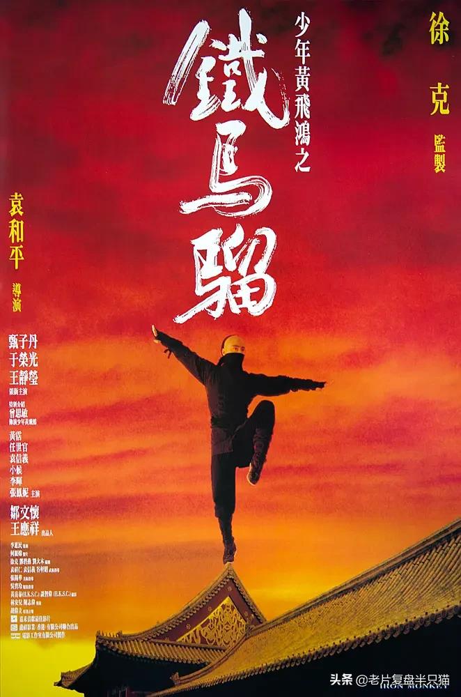 推荐几部甄子丹最能打的动作电影,甄子丹拍过三部巅峰时期动作片