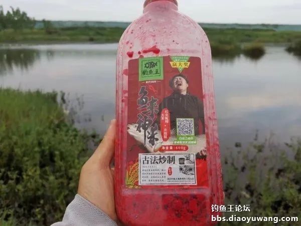 情理之中的上一句,情理之中的意料之外