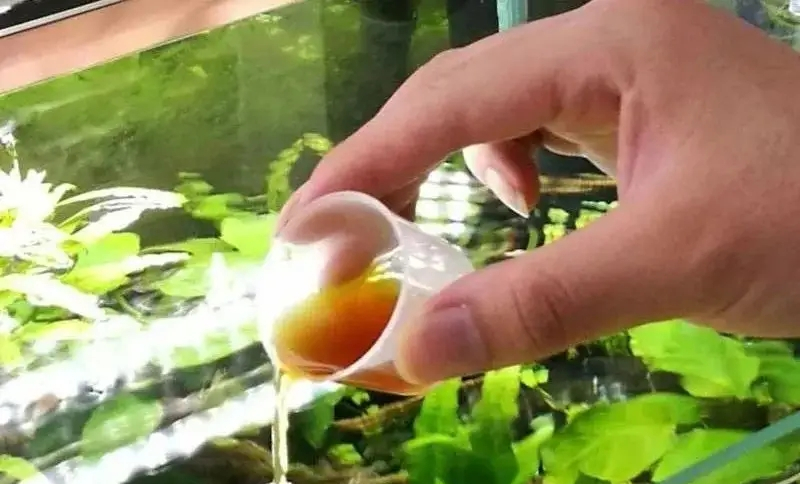 有没必要添加硝化细菌,有必要添加硝化细菌吗