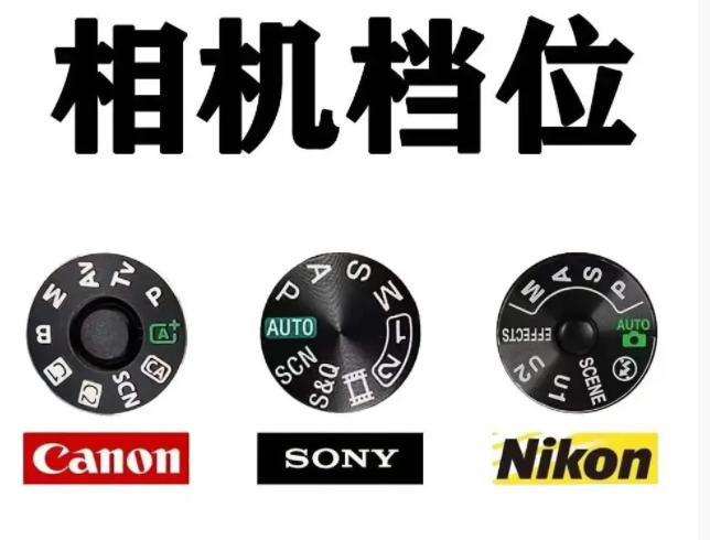 NO10032期|从初学到精通，图文详解“曝光组合”及M档使用教程！