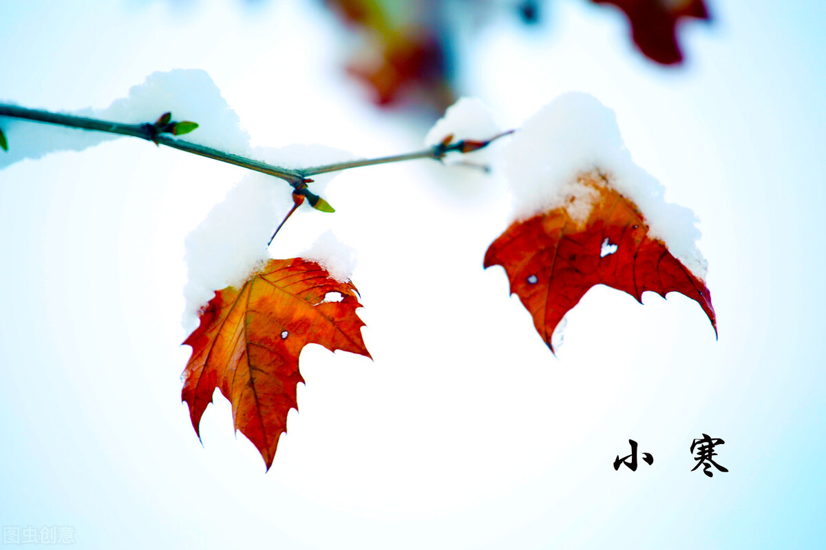 小寒节气祝福图片动态图,小寒节气温馨祝福语图片