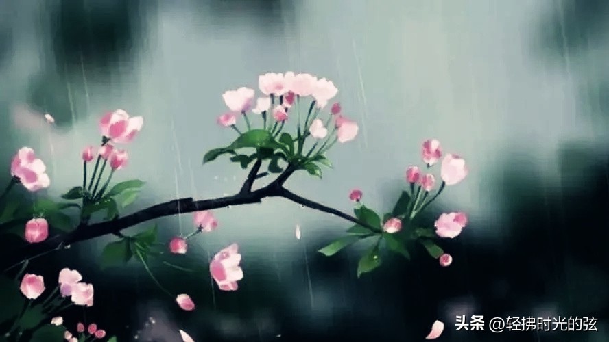 初唐四杰诗十二首,初唐四杰的名篇名句