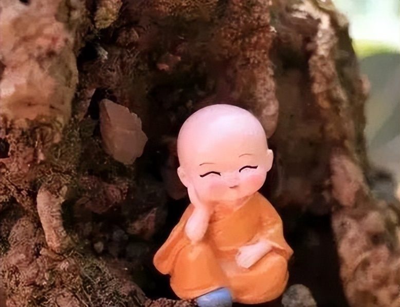 到底是糊涂还是迷途,到底什么是糊涂