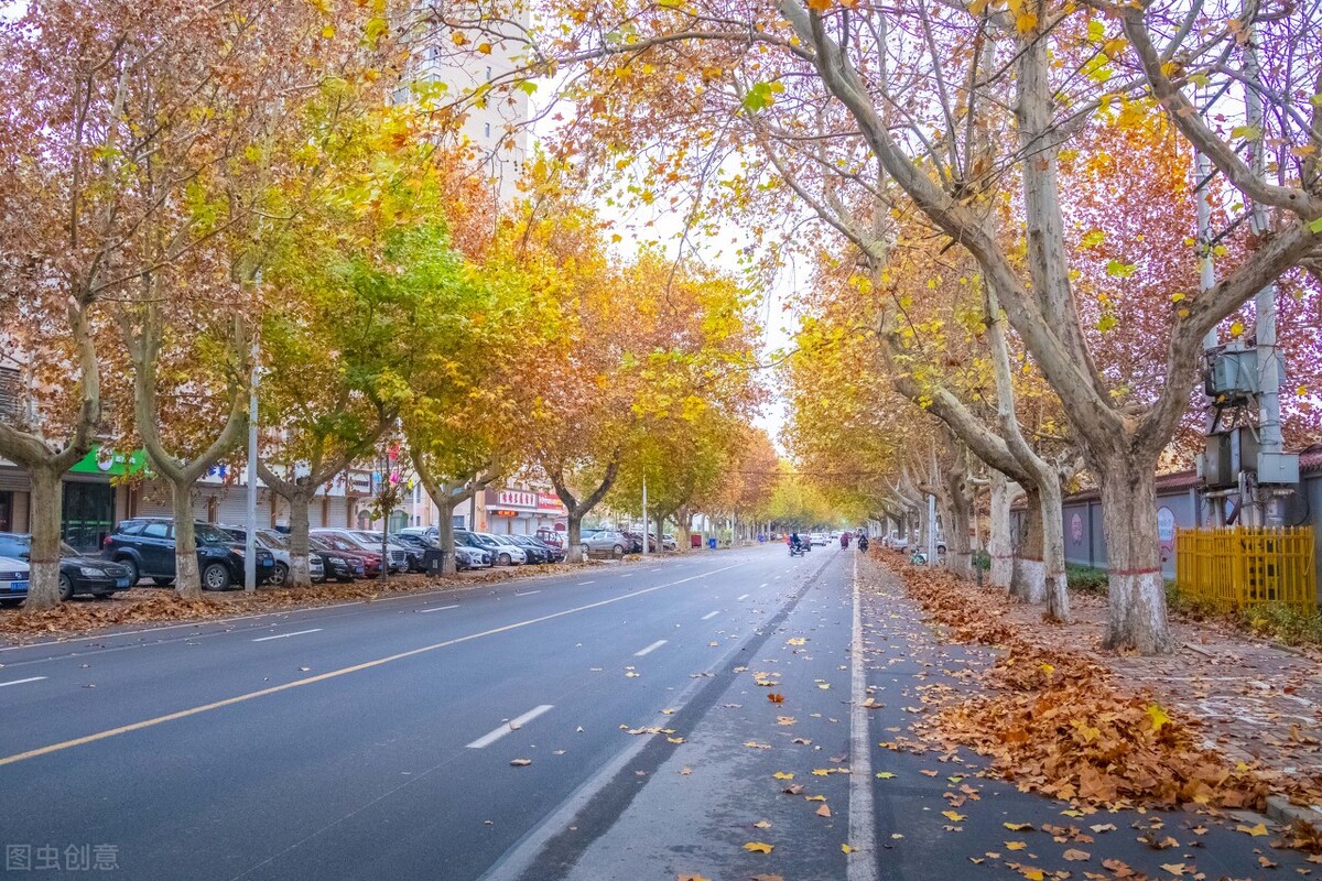 河北省晋州市好消息,国家为什么要大力发展河北邢台