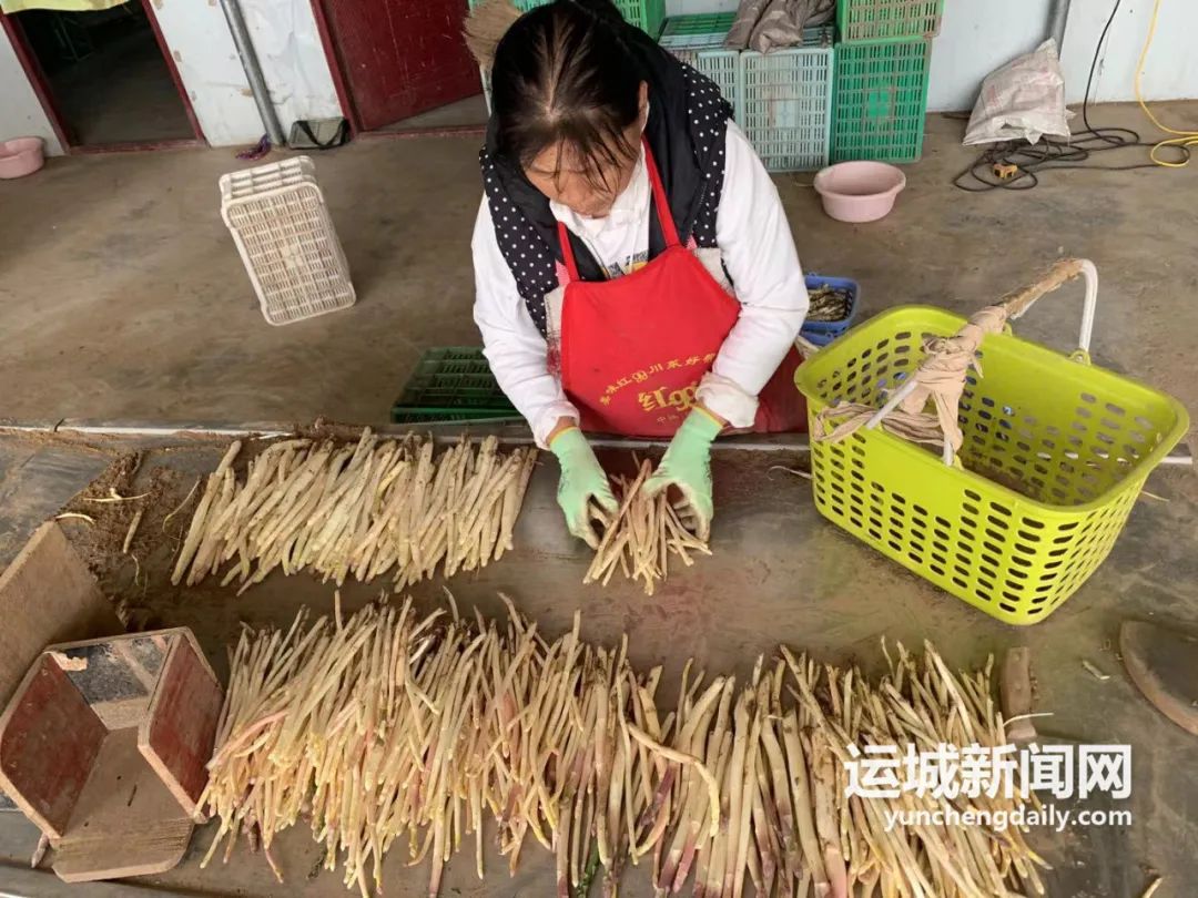 姘告祹鑺︾瑡,姘告祹鑺︾瑡鐜扮姸