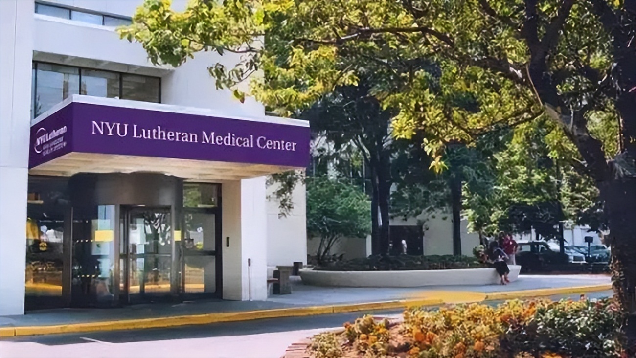 学长专业讲座心得体会,学长分享学习感悟