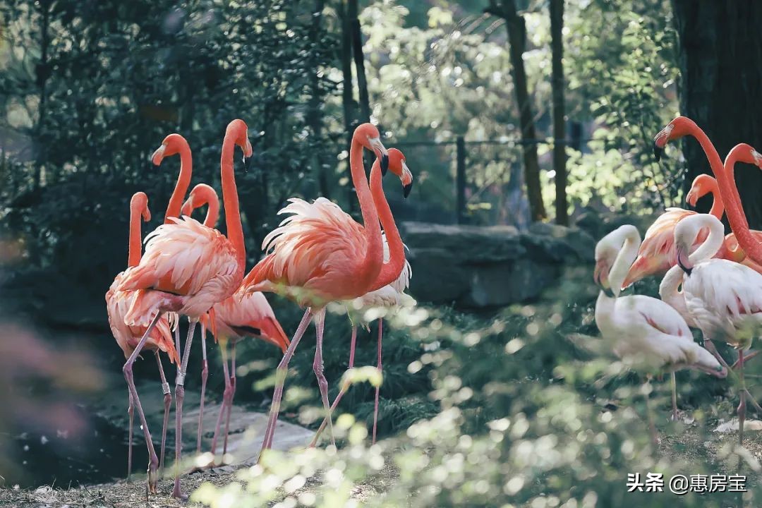 上海公园免费,上海免费公园排行