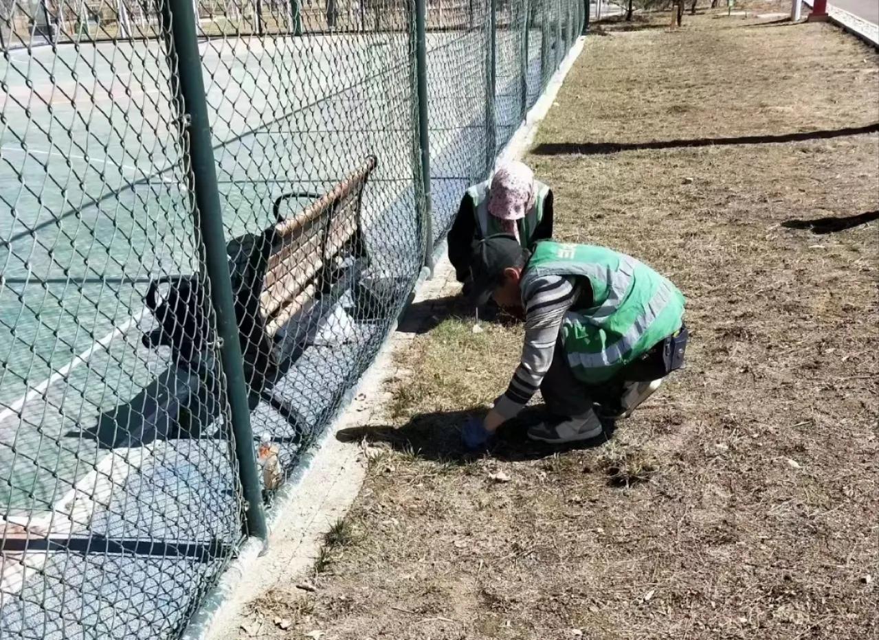 三抓三促行动下一步工作重点,三抓三促行动工作进展情况