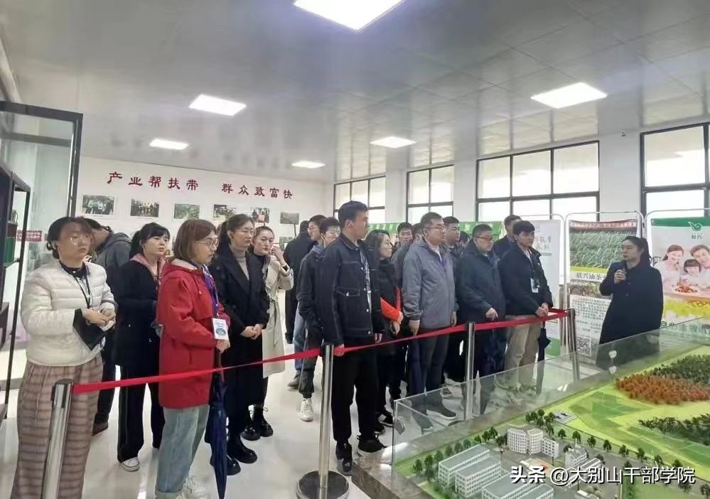 学用结合还需进一步发力,学用结合融会贯通