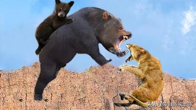 股票牛市是如何形成的,股票牛市什么时间来