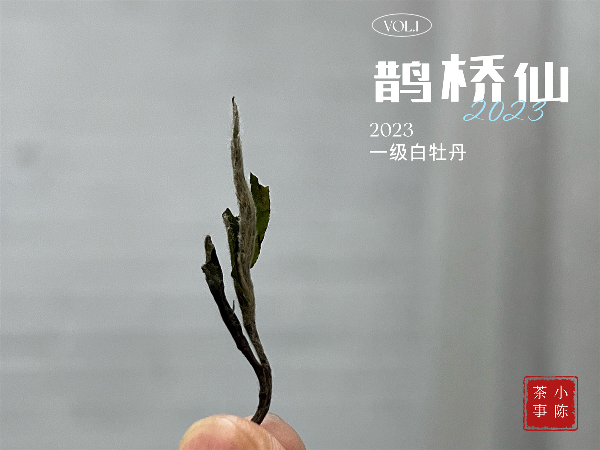 白茶鉴茶全套视频教程,白茶鉴茶教学视频