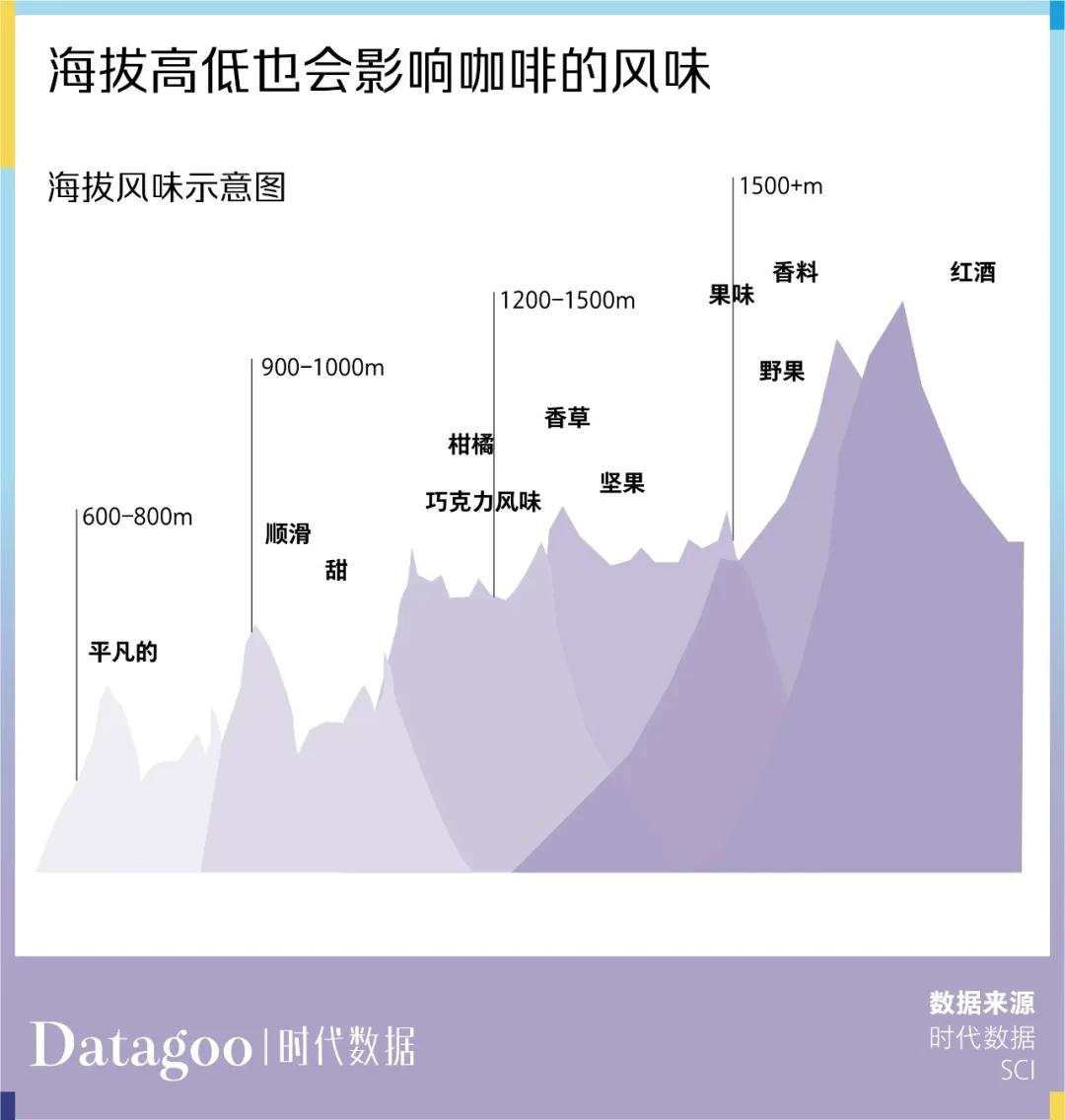 咖啡豆开始“内卷”，打工人半年喝掉6万吨