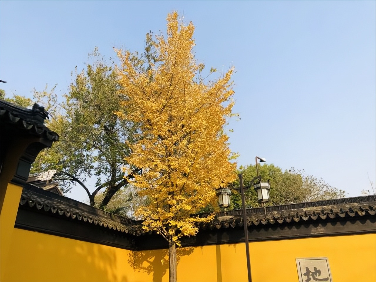 苏州秋季旅游最值得去的地方,苏州赏秋一日游攻略