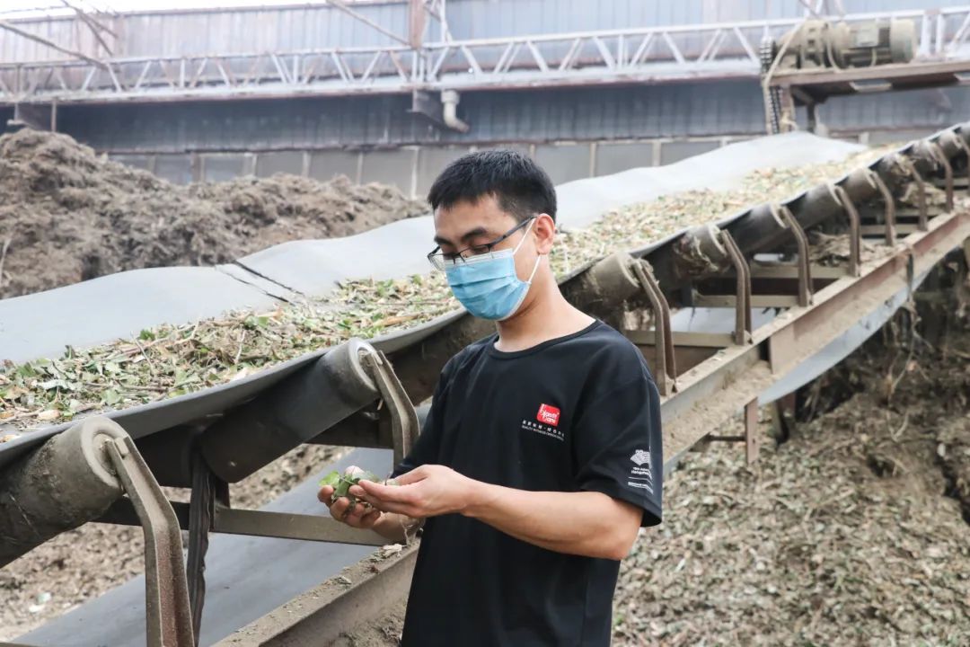 园林垃圾怎么变成肥料,园林绿化垃圾与花卉绿植