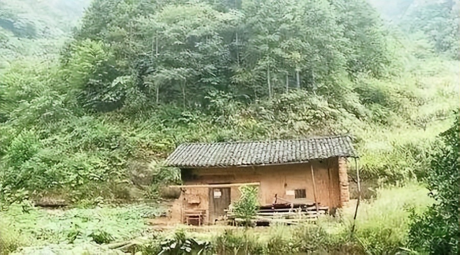 夫妻隐居深山为爱修阶梯真实,19岁小伙和寡妇隐居深山50年