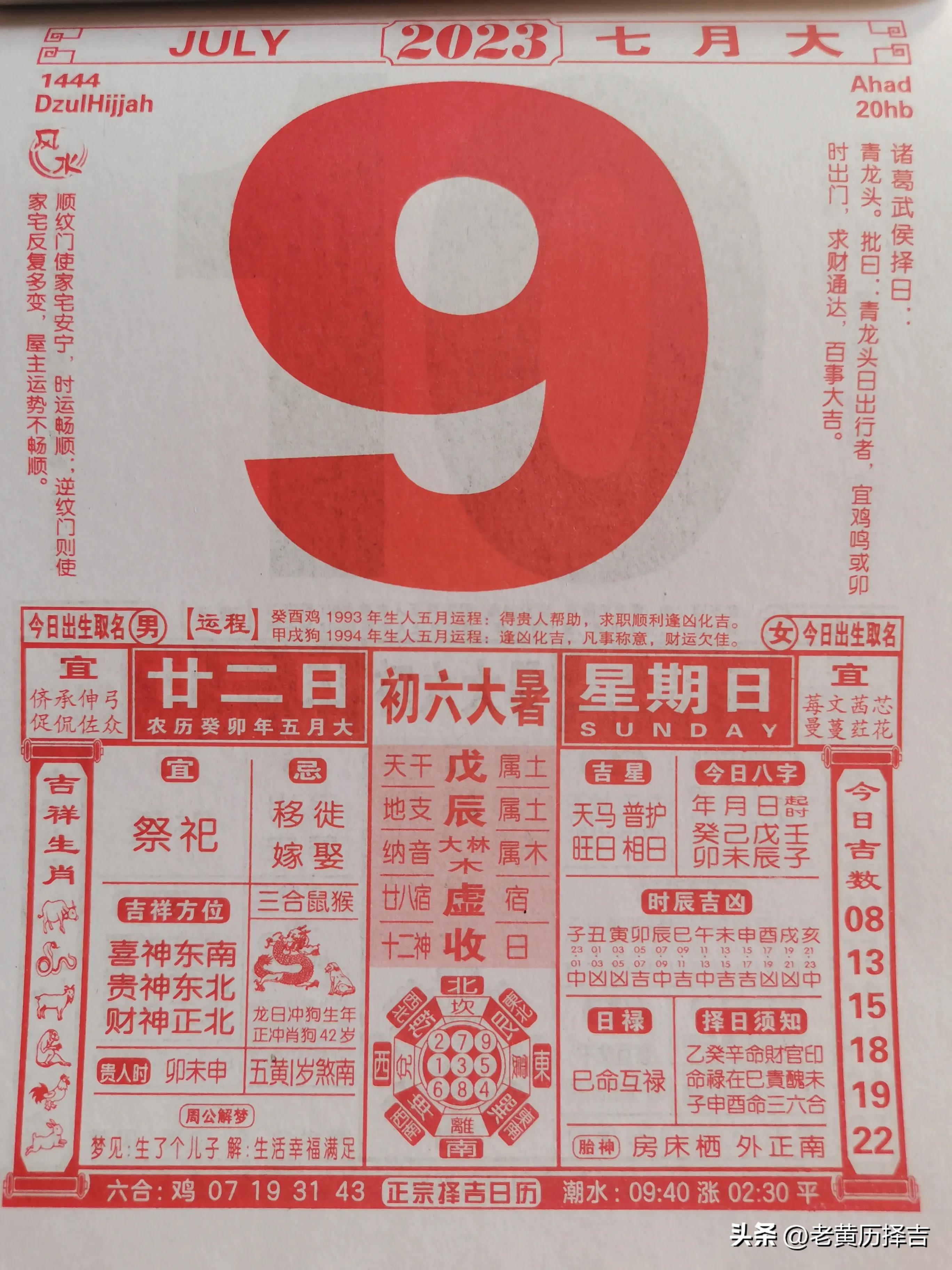 猴子森林系列85：核不外露（附今明二日历图）