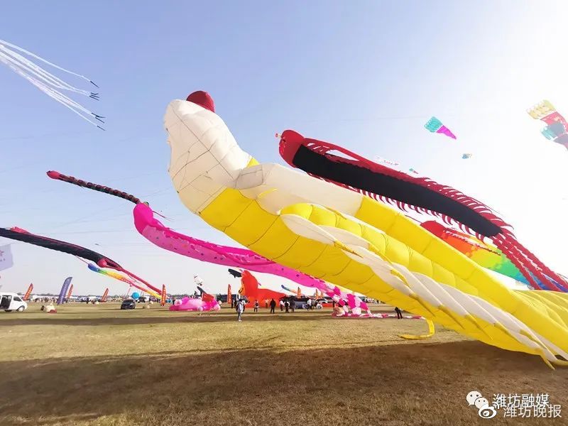 潍坊风筝会大咖云集开幕,潍坊风筝会开幕晚会