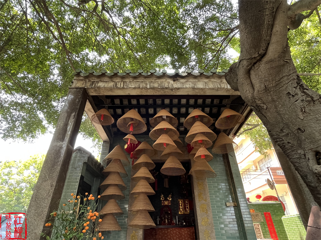 古村探寻｜广东佛山顺德一日打卡杏坛镇两个岭南水乡