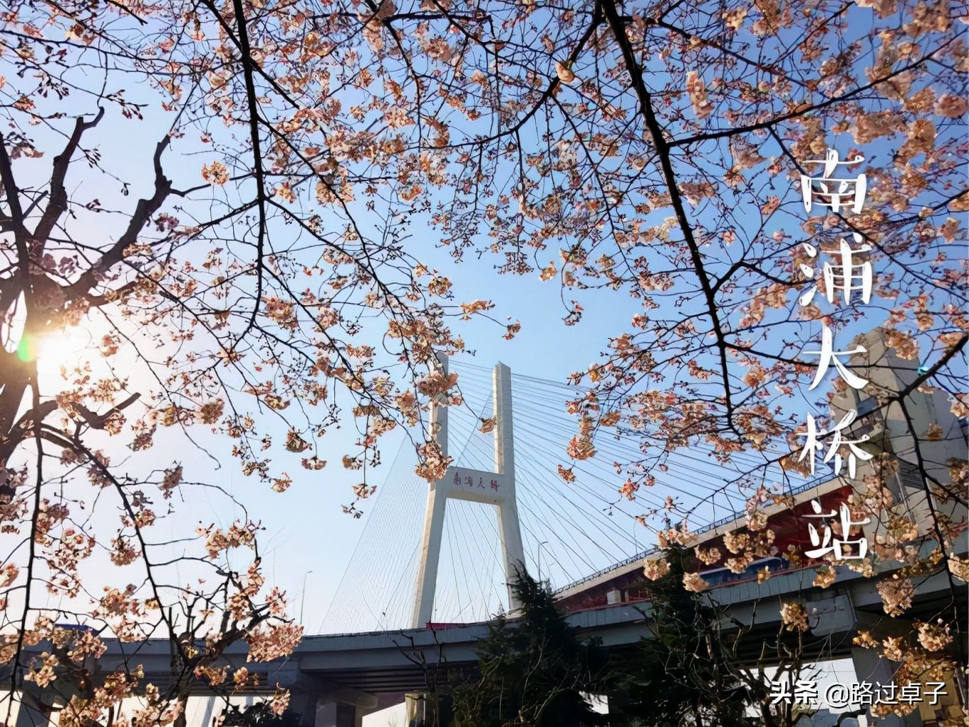 上海地铁旅游景点攻略,上海地铁打卡攻略