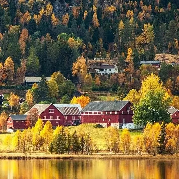 风景素材治愈系哪里找,高级感风景治愈系图片