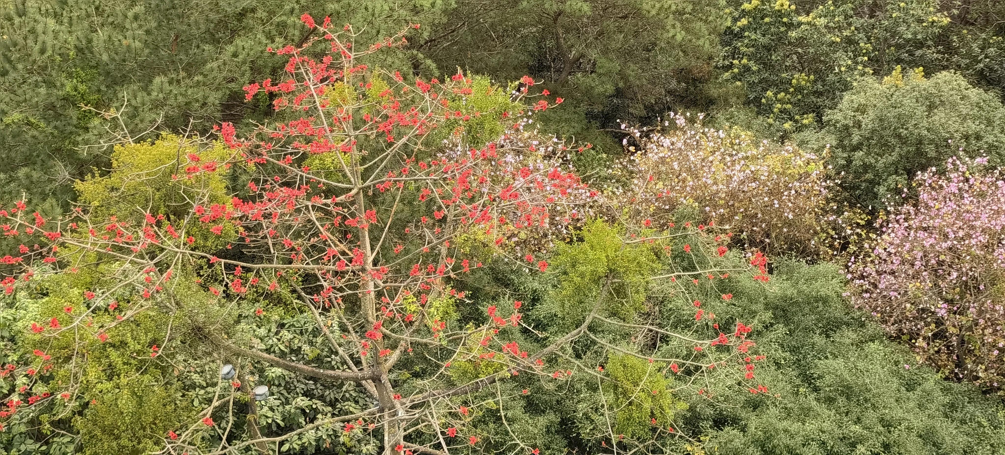 旅行日记记录一家人美好生活,旅行日记85天
