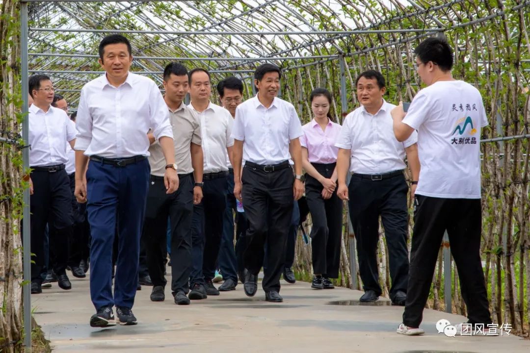 奏响新时代乡村振兴交响曲,团风县乡村振兴局项目公示