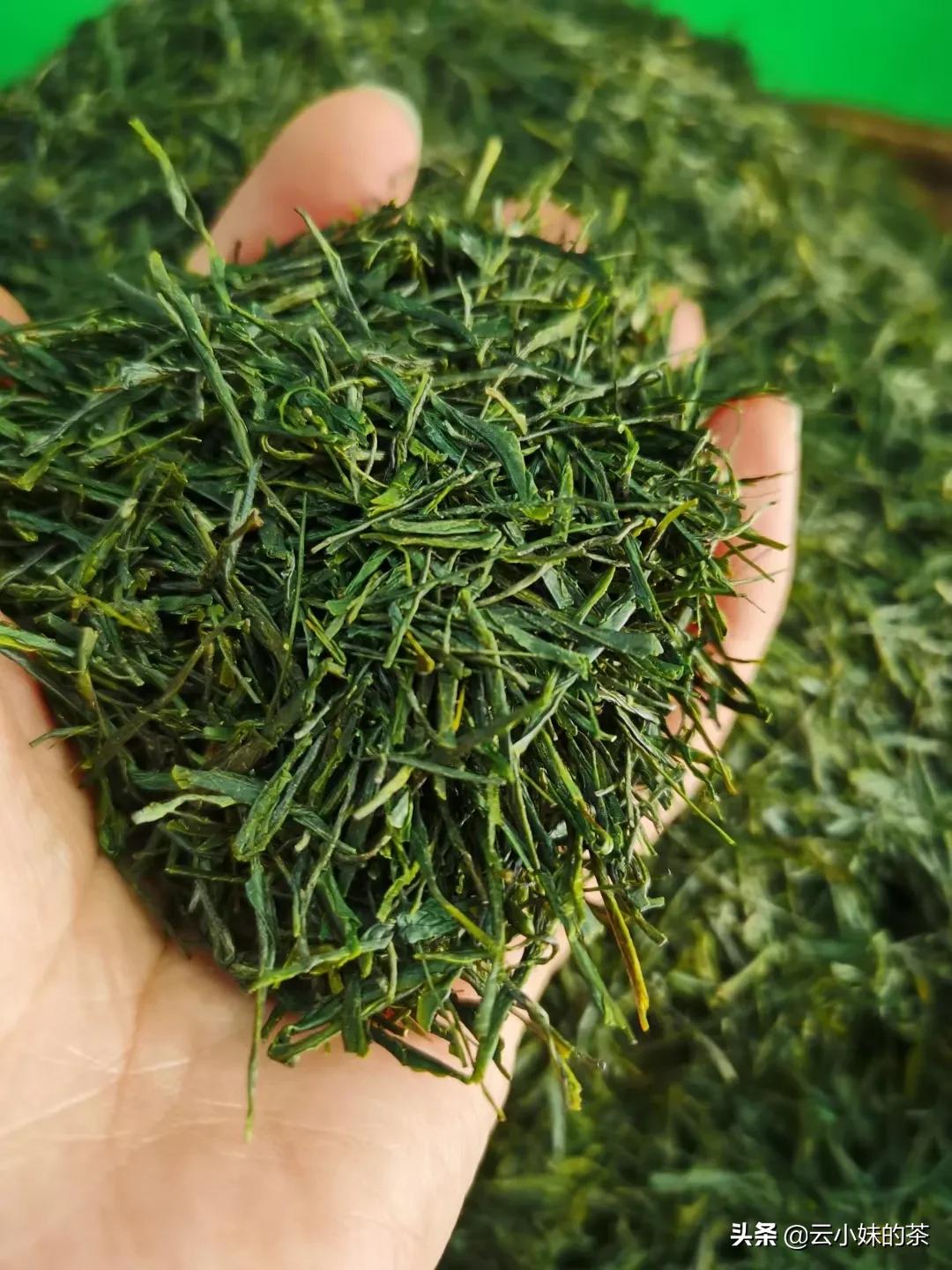 唯有茶香才能治愈一切,茶香最真实的感受