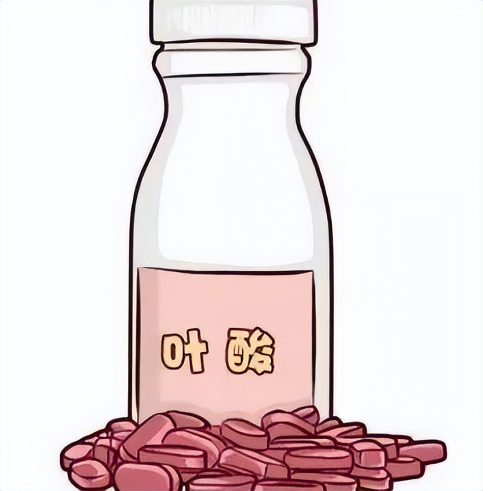 天然叶酸食物排行第9种,含叶酸最多的食物排行表