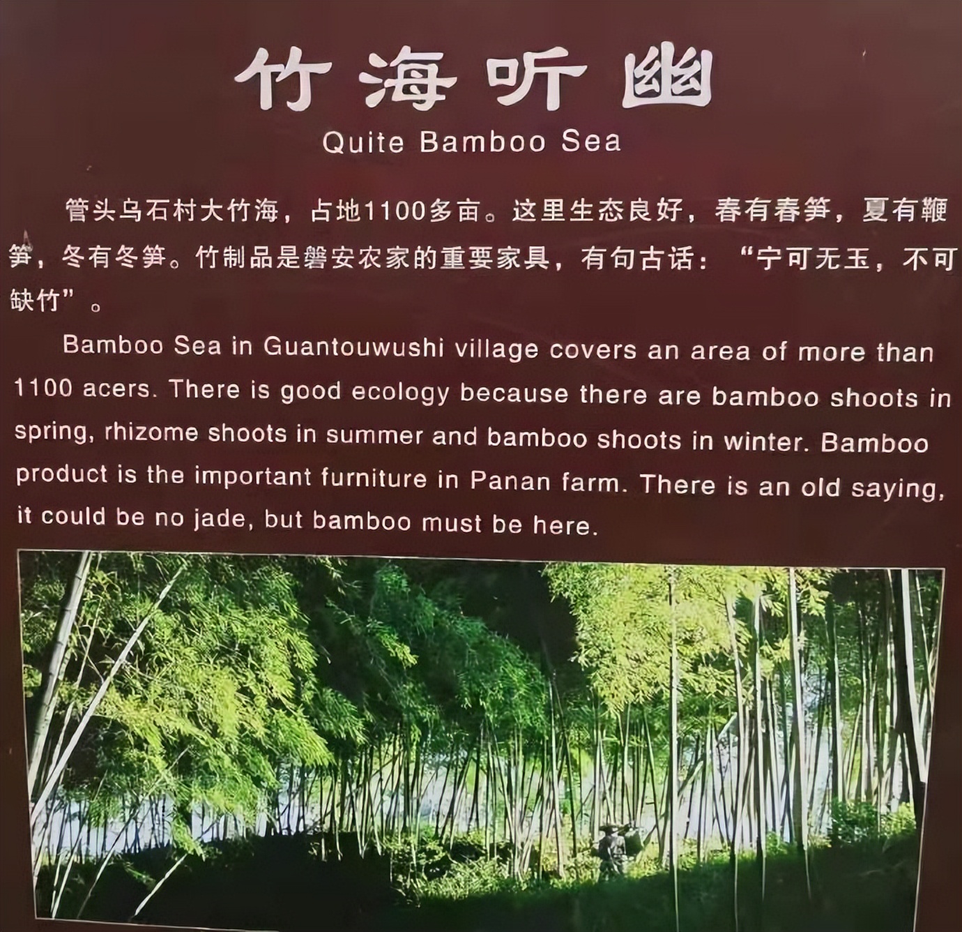 磐安乌石村免费景点,磐安乌石村夜景