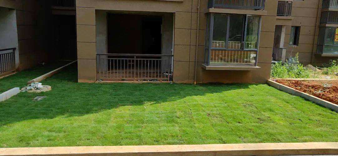 一楼带院的房子利弊,一楼带院房子住着舒服吗