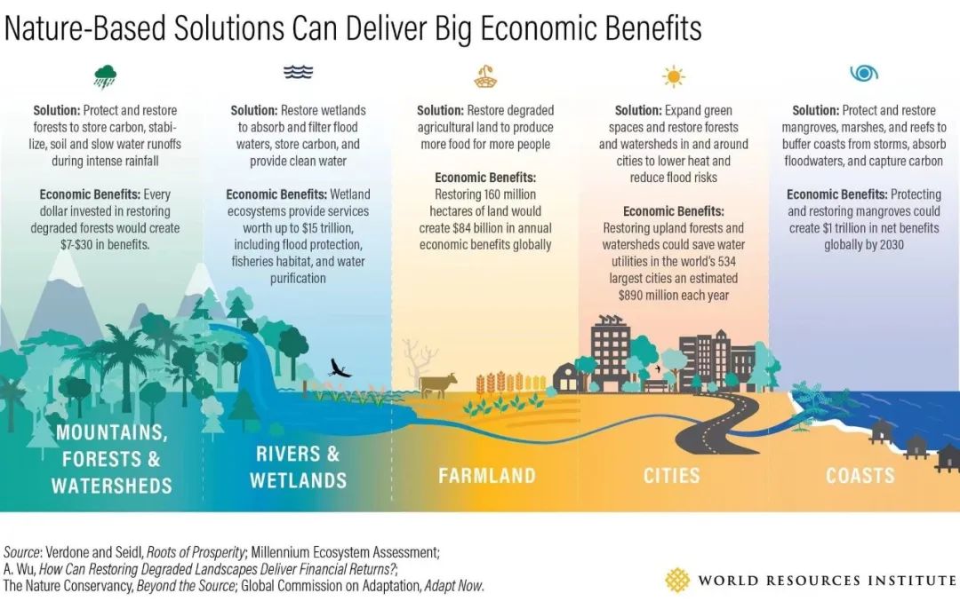 正谷年会|张向东:有机食品礼品,Investintaste,表达美好情感