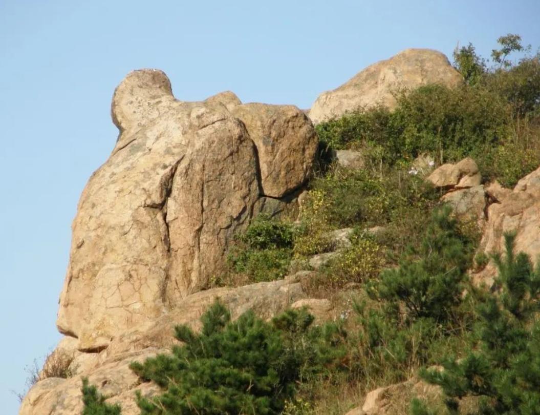 91年干部发现一山头像毛主席，孔令华初见哭了，李讷感叹：太像了