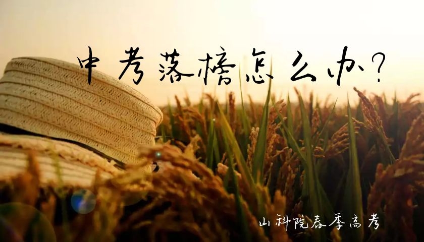 中考落榜千万不要去职高真正原因,中考别灰心