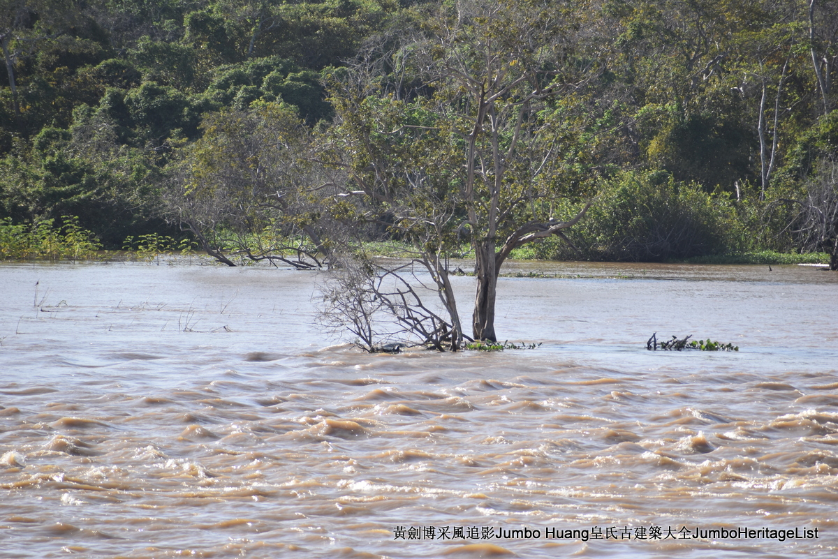 第5047回：消失的亚马逊文明，流失的林下聚居地