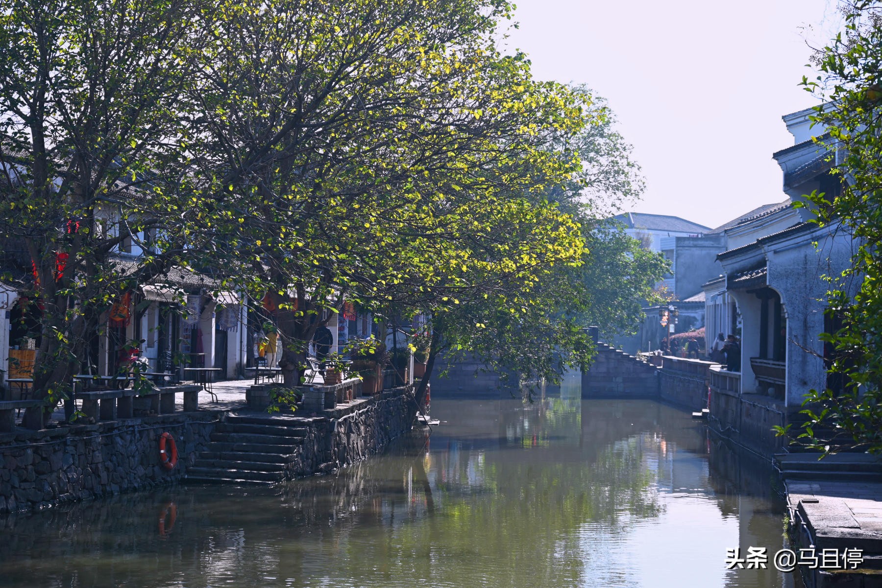 浙江慈溪鸣鹤古镇周边景点介绍,浙江鸣鹤古镇和鹤鸣古镇哪个好玩