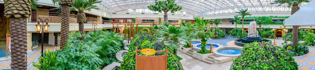 银河温泉双人水果温泉,泡汤泉免费吃水果