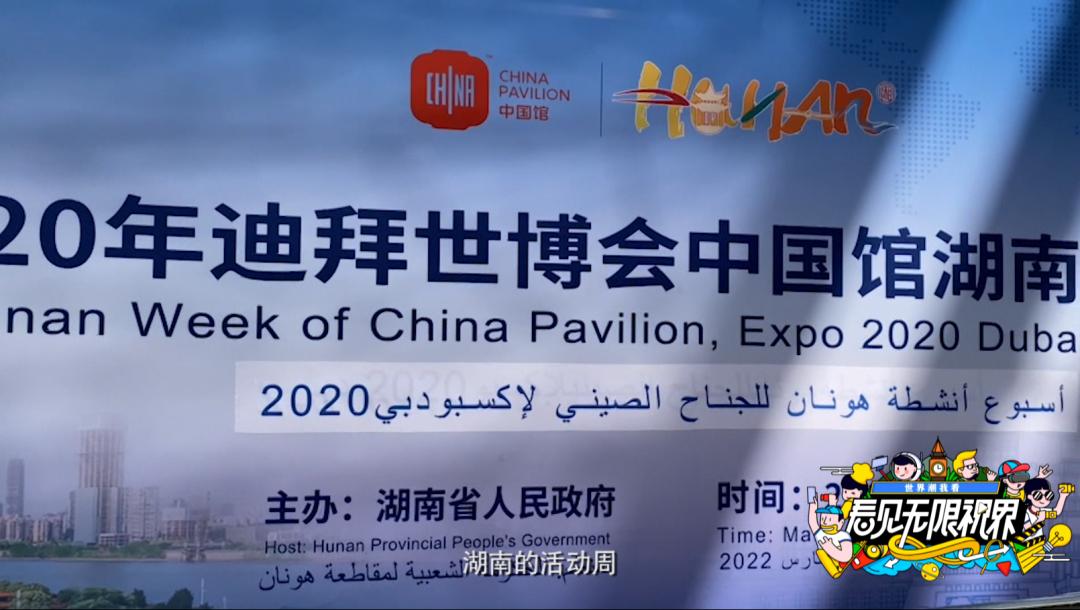 世界潮我看丨中外“导游”带你逛展览、品美食……云游世界