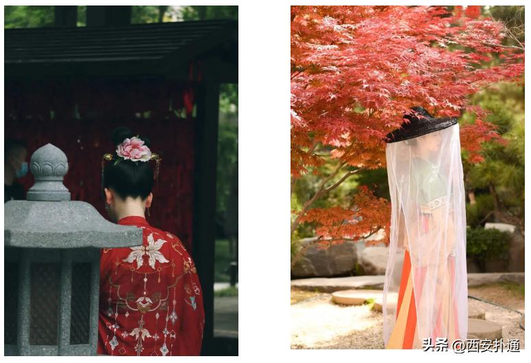 只是来西安坐一趟「贵妃专线」，怎么就被追着骂流水线公主？