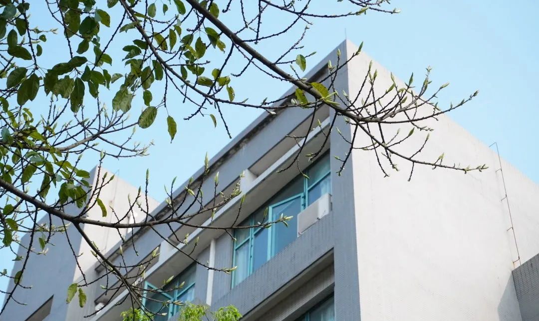 2023年重庆警察学院招生简章,重庆警察学院2024招生简章