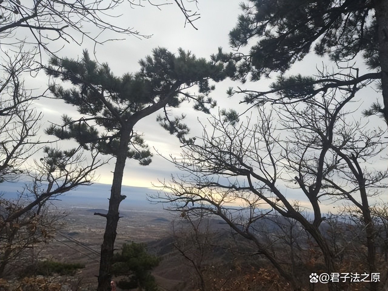 林甸县女人出轨事件,女人诬告性侵案