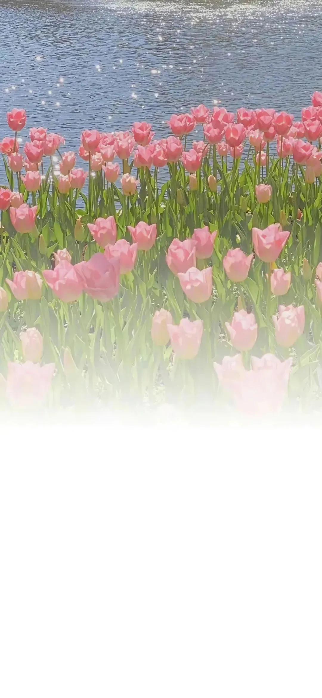 渐变晕染聊天背景图,渐变式聊天背景图