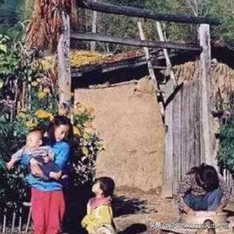 “精豆豆”，“憨豆豆”，精人趁风助，憨厚最靠谱，性格决定人生