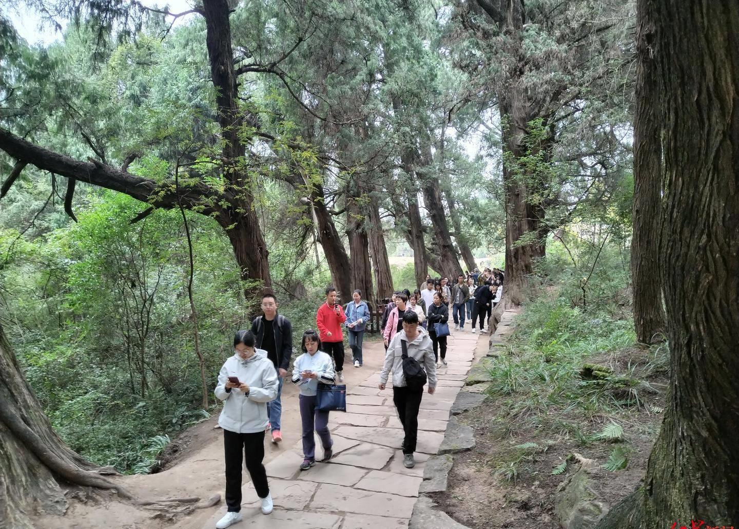 探秘古蜀之国聆听三星堆传奇,三星堆遗址游览图