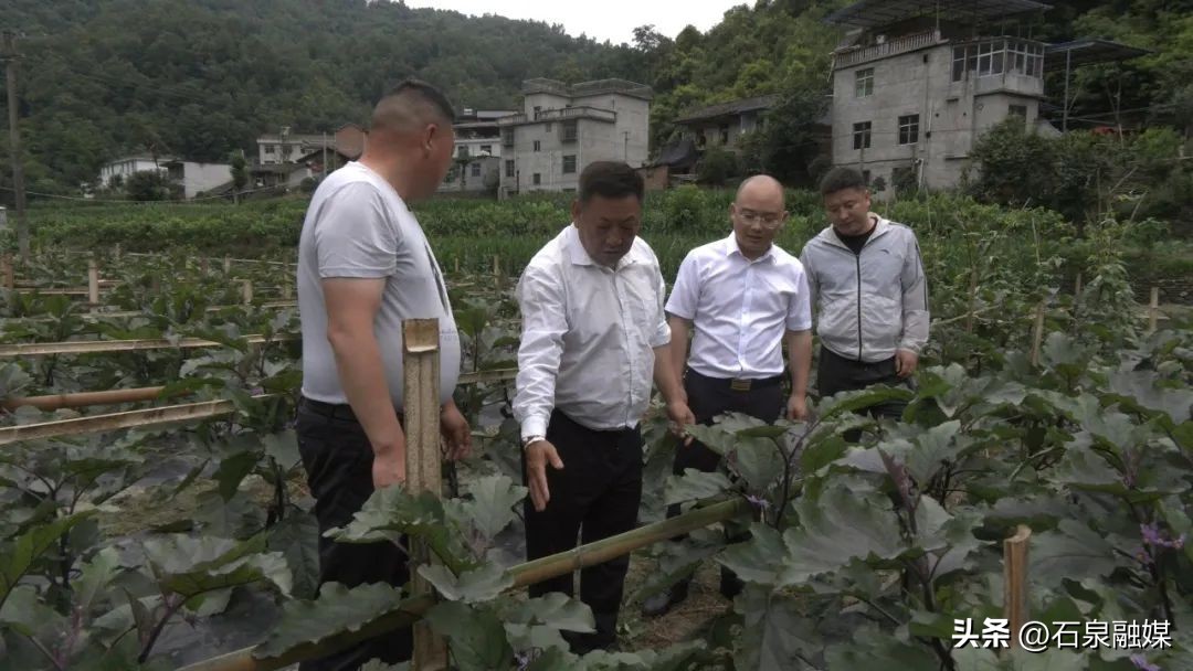 特色富硒乡村产业振兴,助力乡村经济发展富硒产业